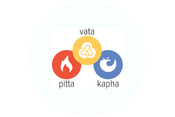 Prakriti Analysis Know Your Biotype